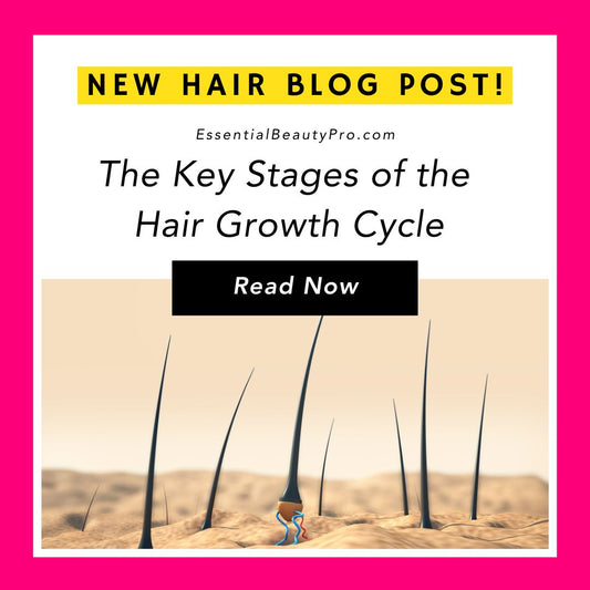 The Key Stages of the  Hair Growth Cycle
