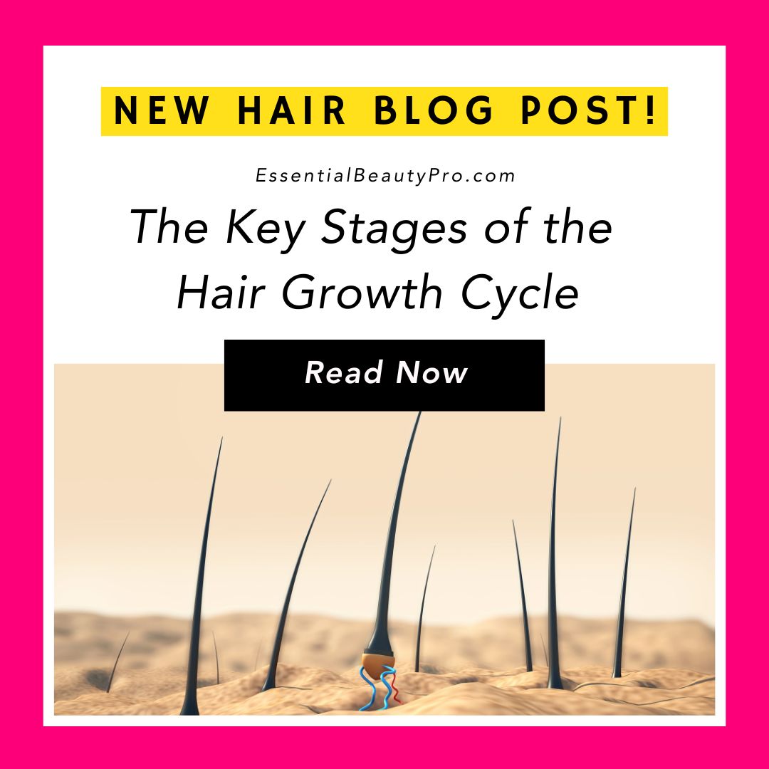 The Key Stages of the  Hair Growth Cycle