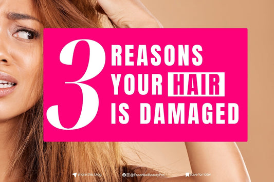 3 Reasons Your Hair Is Damaged (And What You Can Do About It!)